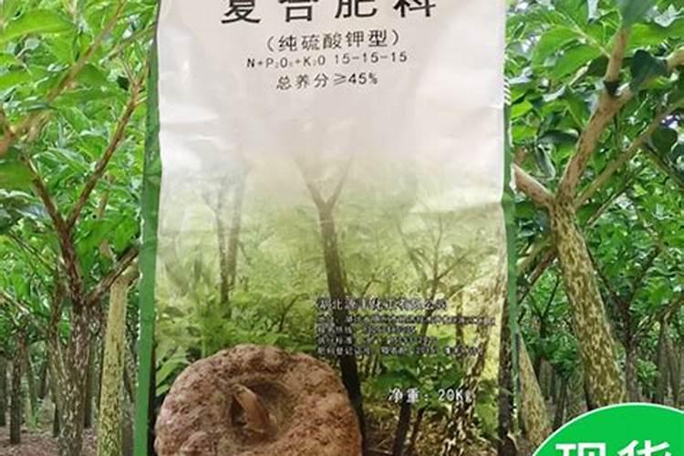 安徽元贞葡萄帮农业服务有限公司怎么样？