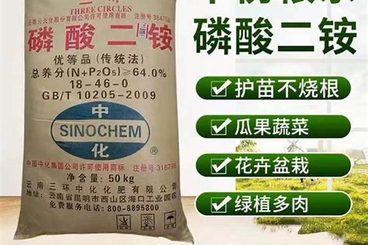 磷肥哪个牌子好