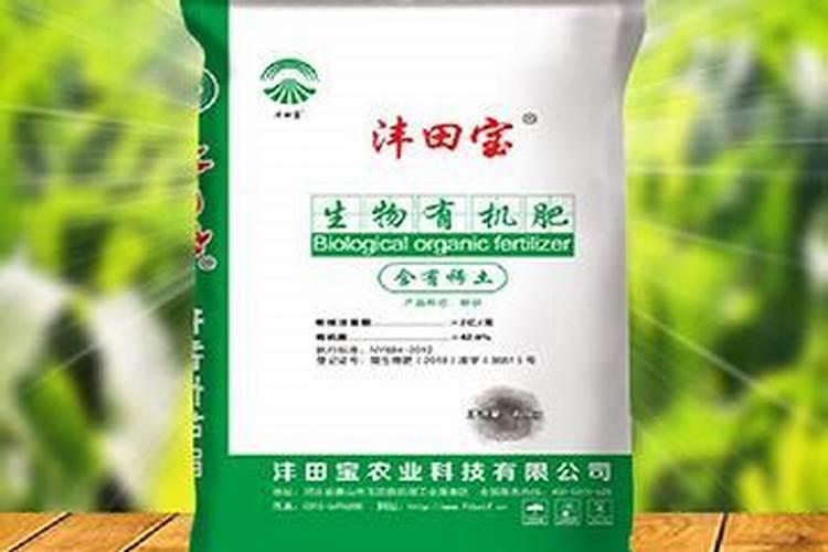 芸苔素在玉米上的最佳使用时间和使用方法