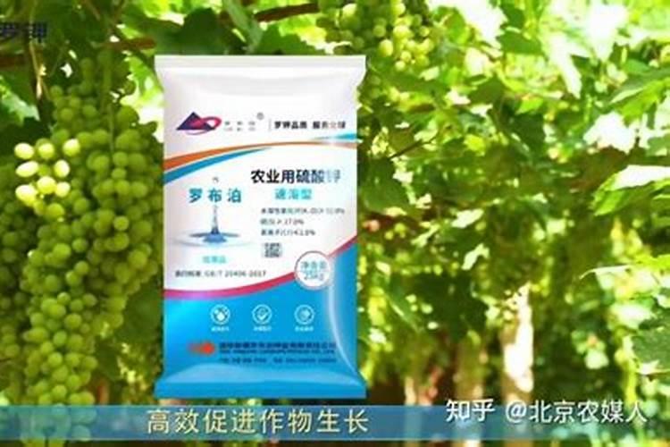 硫酸钾肥的用肥方法？