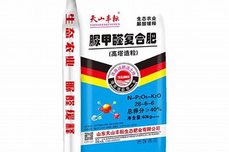 月季施肥的最佳时间