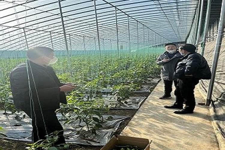 怎么在网上推广叶面肥,水溶肥等新型农业肥料？