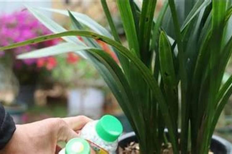 含氯肥料在甜菜上能用吗？