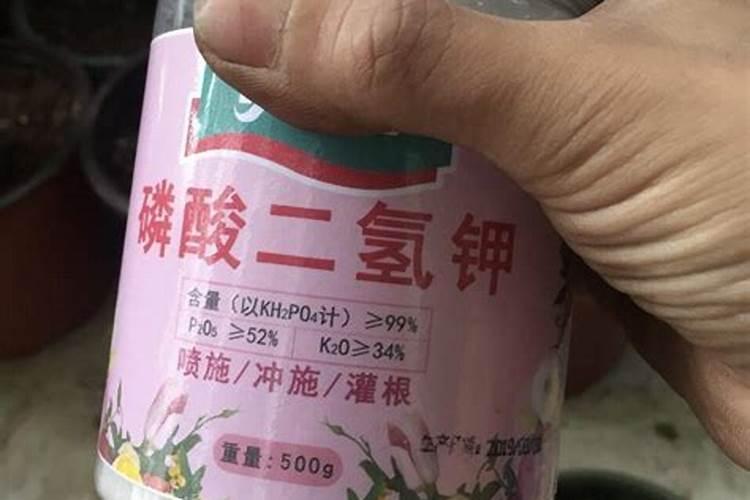 旧水苔要如何巧妙地进行再利用