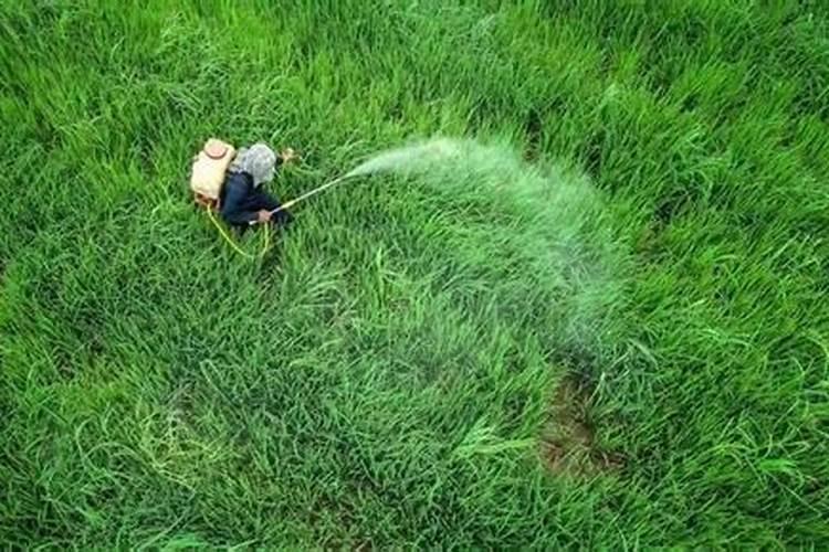 路富达持效期多久