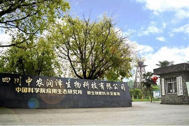 中农瑞特水溶肥怎么样