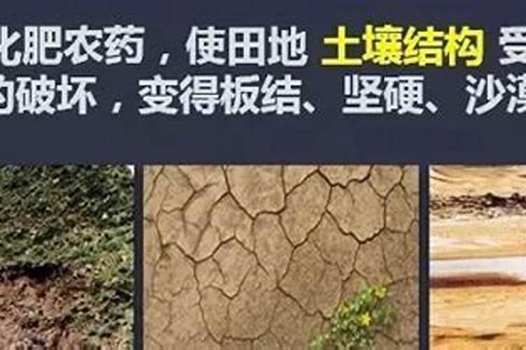 氮肥施多了怎么补救