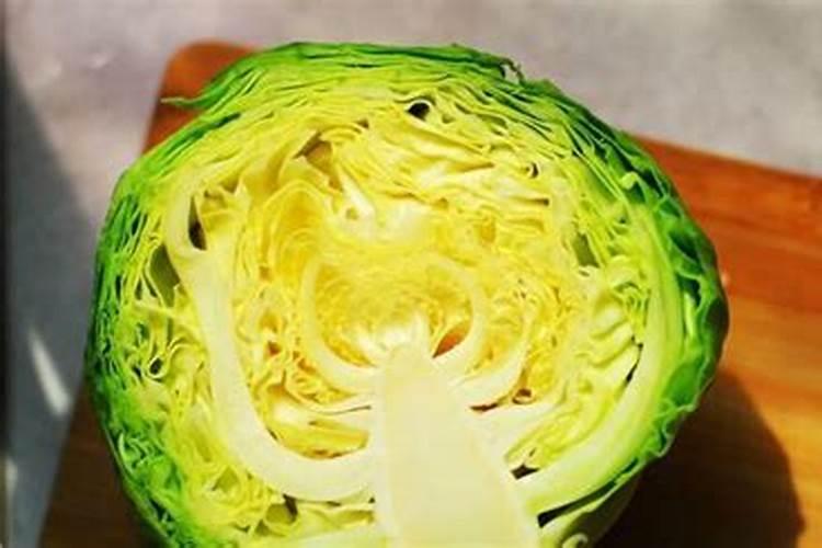 怎么在家里种芹菜