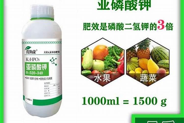 大田作物开春补钙很重要,原因是什么呢？