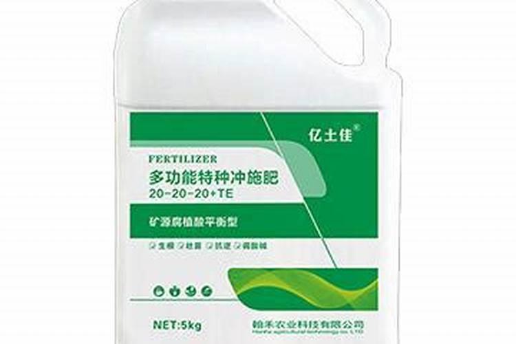 绣球有花苞了该怎么施肥