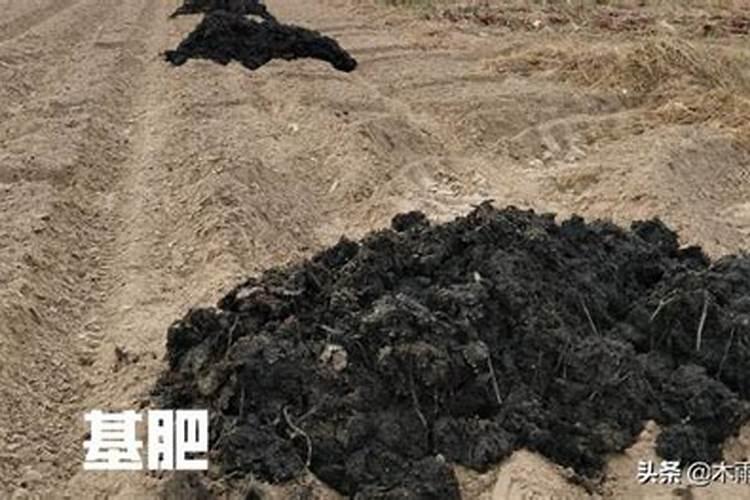 老俗话,农村的四大黑,四大白,四大訟是什么