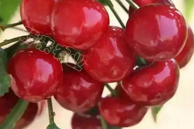 钙肥和钾肥能同时叶面喷施吗