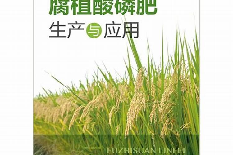 水稻施复合肥几天可以排水