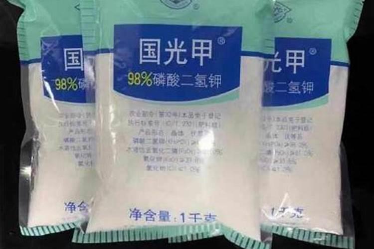 请问专家我的油豆是什么病？什么原因引发的!该怎么防治!谢谢