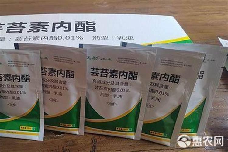 芸苔素可以控旺吗