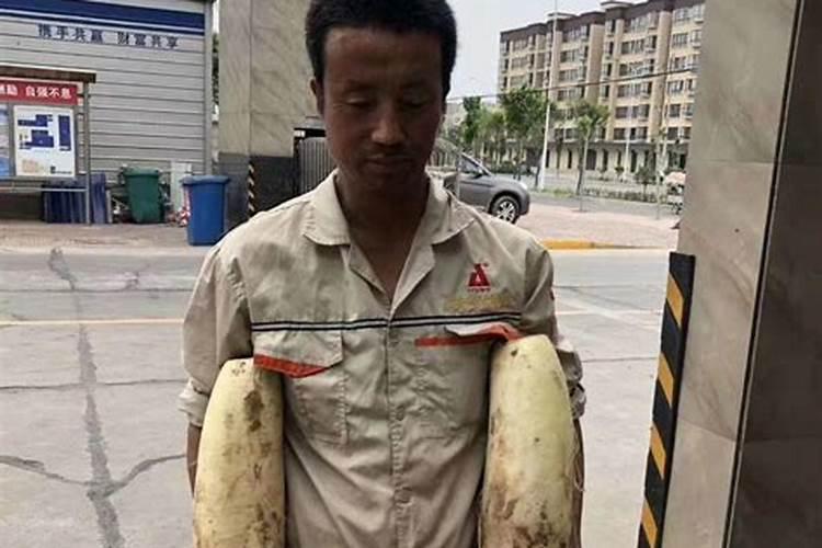 萝卜能追用复合肥吗