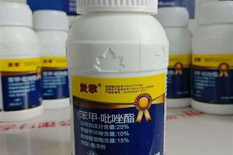 小油菜的种植方法 小油菜如何种植