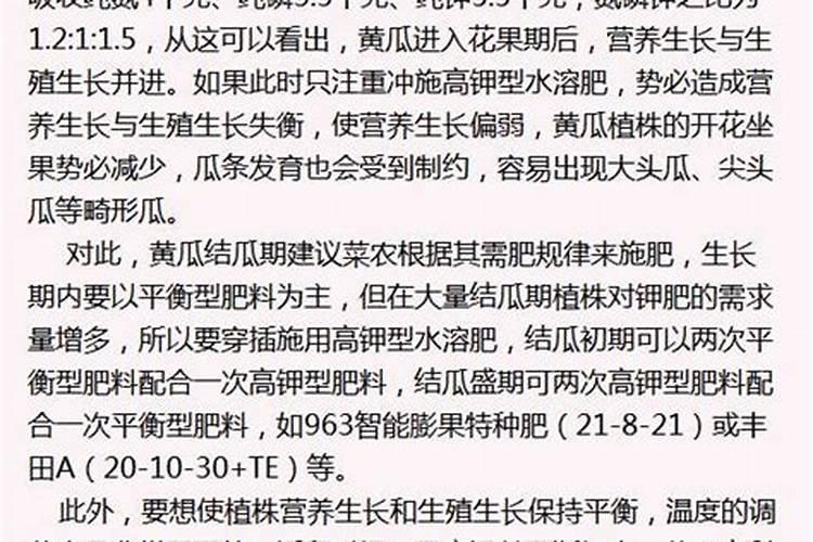 菜花怎样施肥,花长最大