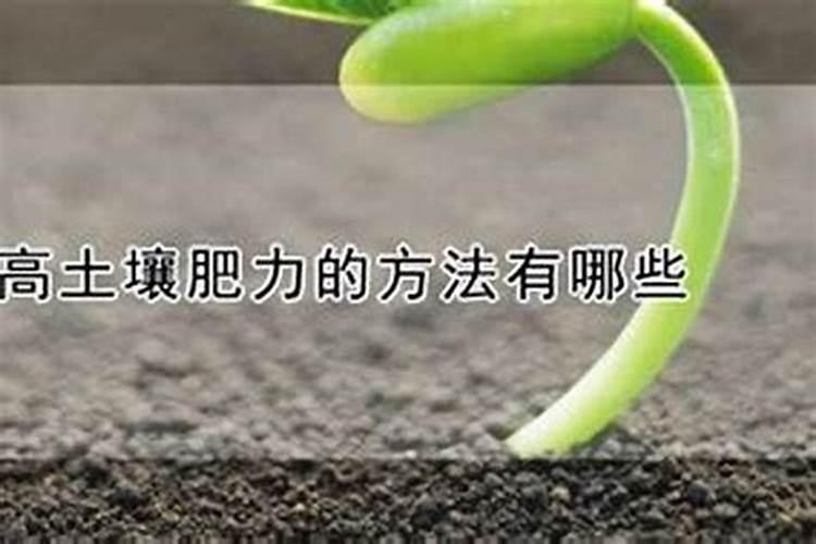 改善土壤肥力的小方法