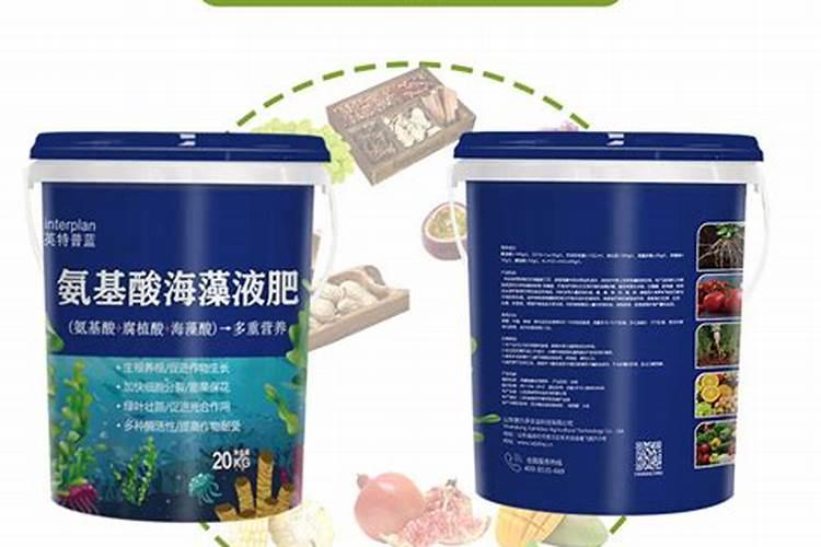 生姜种植有什么妙招呢？