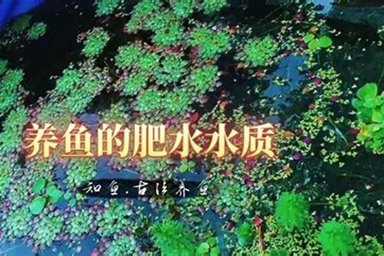 遇到黑坑,水质都发黑了,怎么用小药