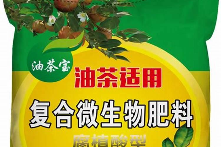 高品质花菜怎么施肥？这样做,花大味美销路好