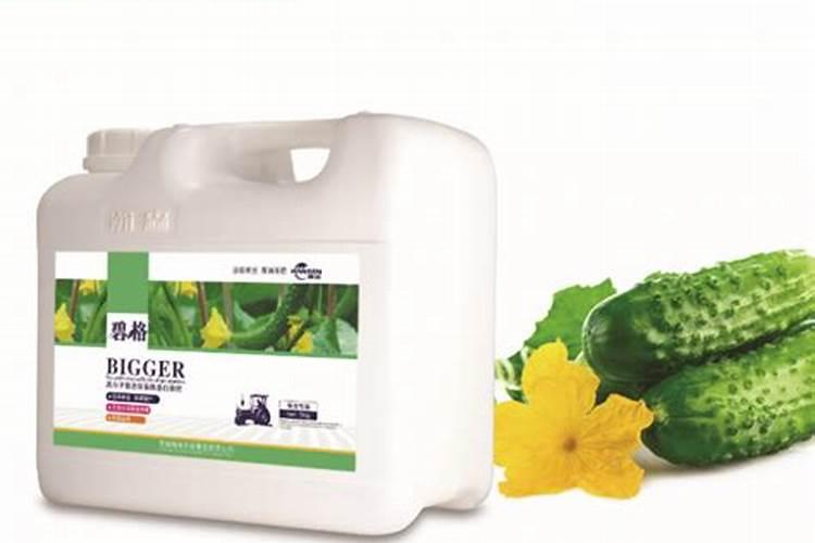 蓝莓种植技术引导(五)