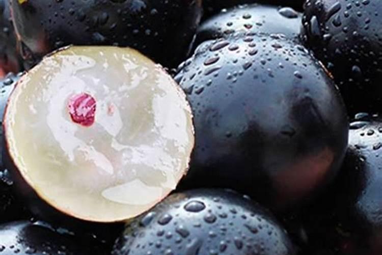 什么土可以代替泥炭土