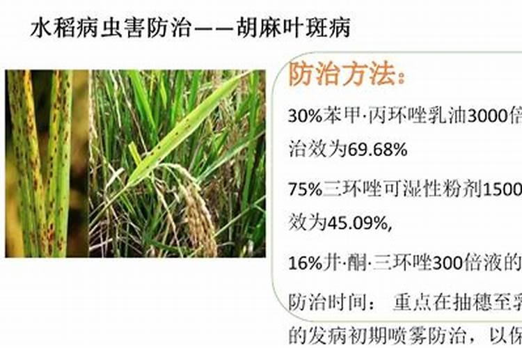 生态农业成分股介绍及生态农业龙头股一览
