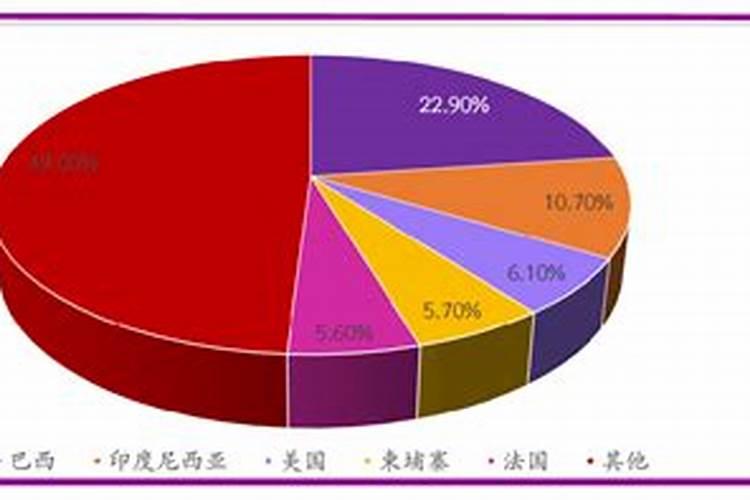 探索日本灵性宠物——日本石龟的饲养方法