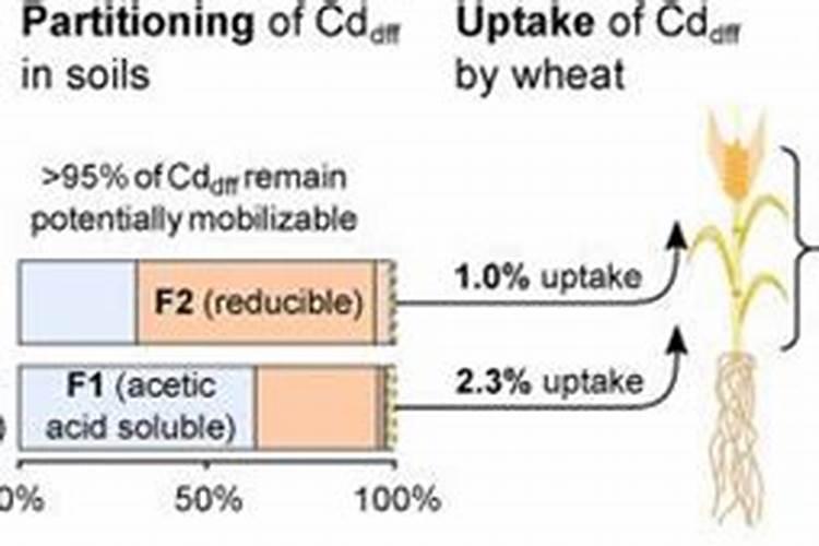 雨水储存多久不能浇花