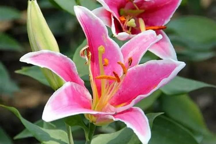 ...硝态氮肥、硝铵态氮肥、氰氨态氮肥和酰胺态氮肥。化学式怎写？百度...