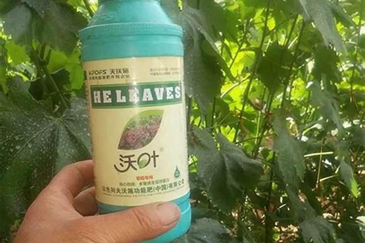 钾肥叶面肥配方