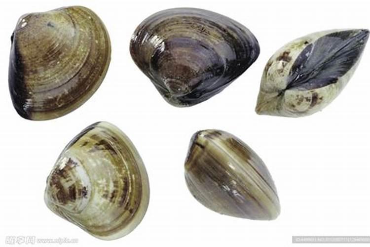 结晶后洗涤,结晶不溶解于水吗