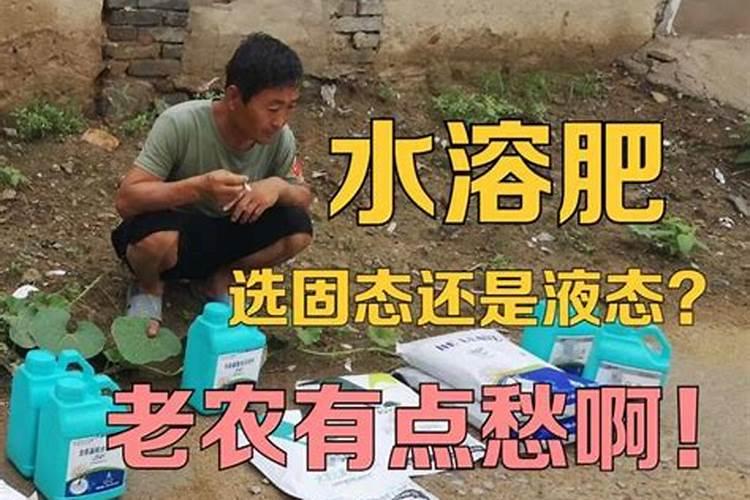 韭菜亩产量一般多少斤,种植韭菜一亩地的利润