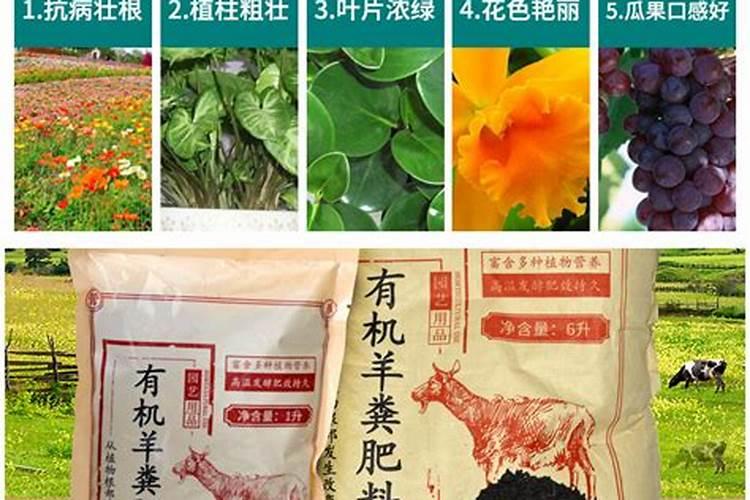 内蒙古跃阳生物环保有限公司怎么样？