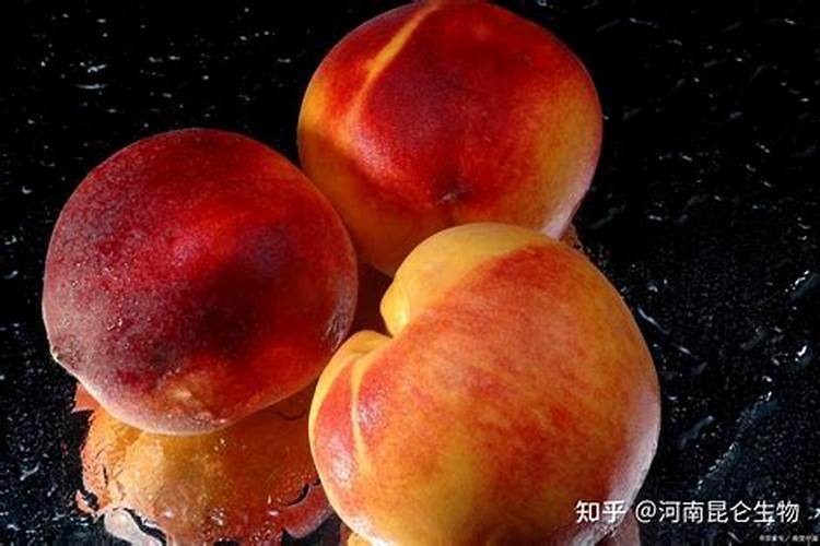 桃树用什么肥料好？