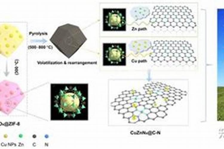 龟背竹叶子发软下垂原因及补救方法