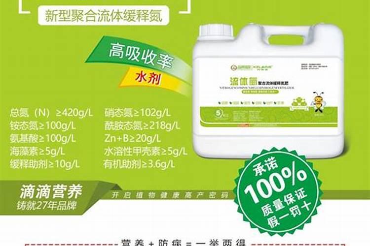 枣树缺硼表现什么样症状？怎样预防缺硼症发生？