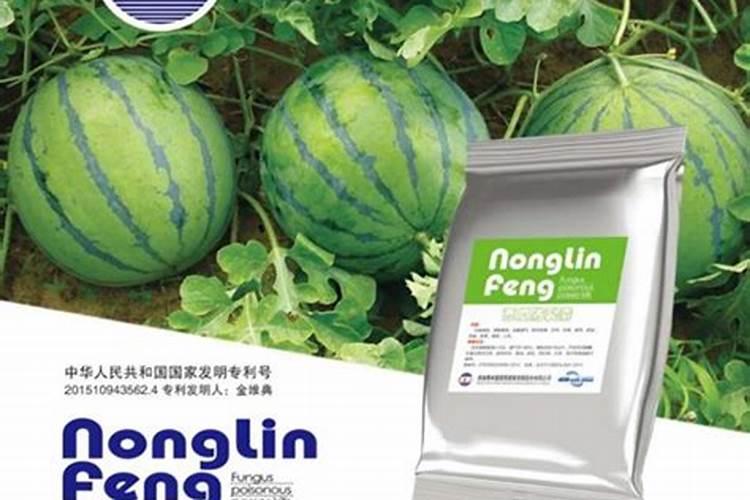 镁在工业上的主要用途