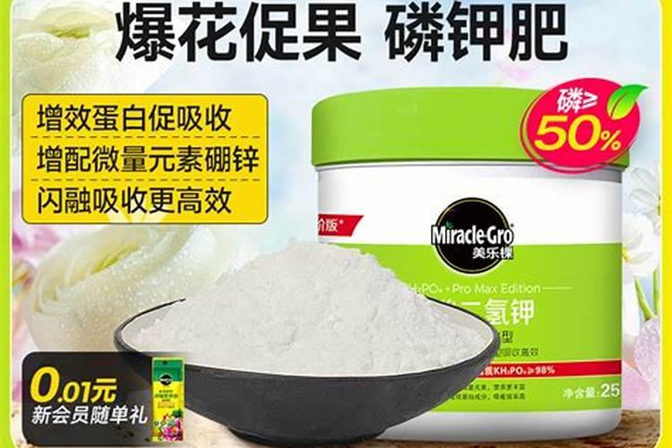 铁线莲花期需要施肥吗