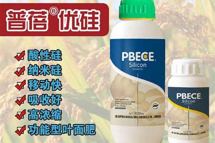 怎样防止柑橘裂果