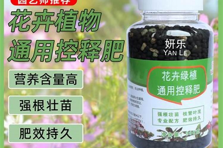 西红柿为什么不要加氮肥