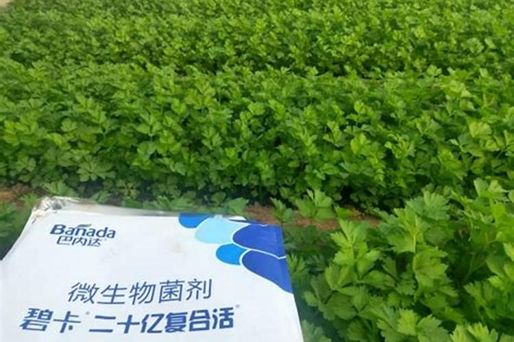 河南众信化肥有限公司怎么样？