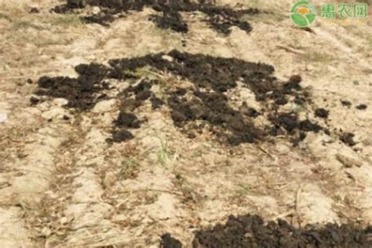 全球粮食警报拉响,“出口大户”被制裁,国际化肥市场将迎变局？百度知 ...