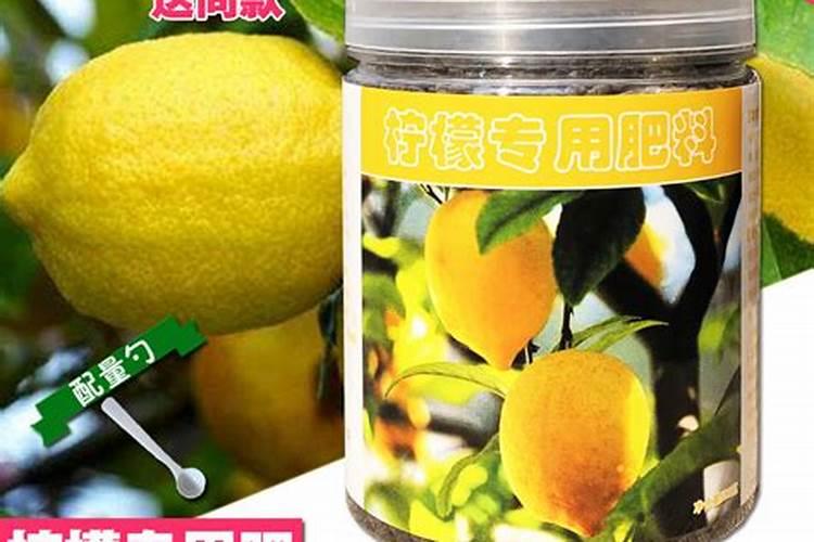 柚子树嫁接冻坏了怎么办？树皮发酶