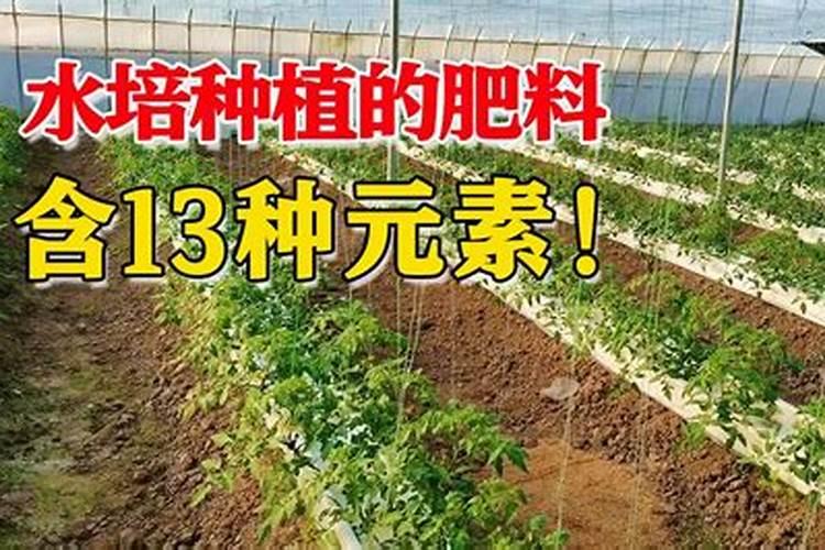 底肥用什么肥料好什么肥料可以做基肥