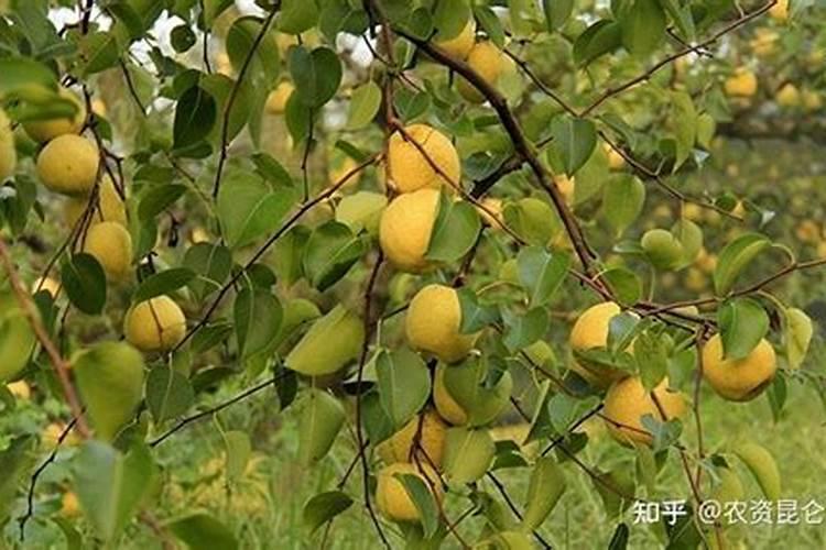 硫和硼可以反应吗