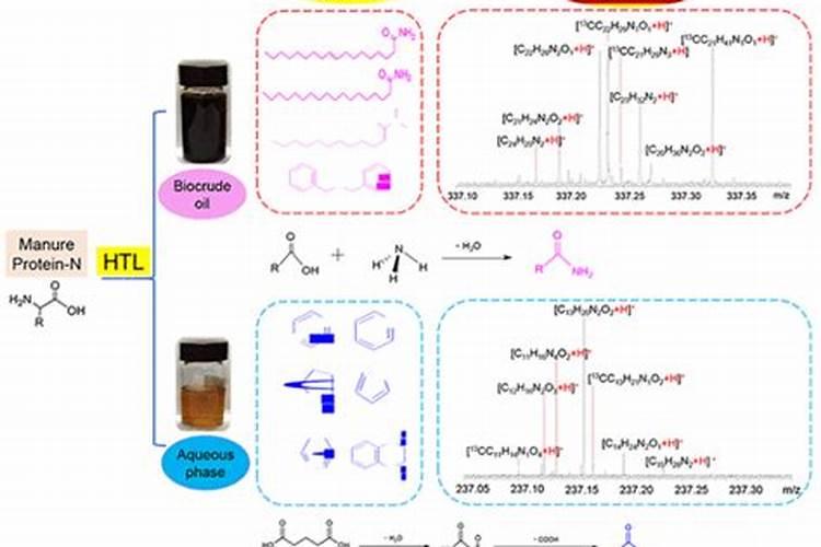 氮肥有那些物质