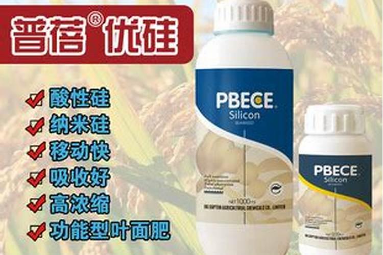 大豆花生专用螯合肥的主要特点是什么？